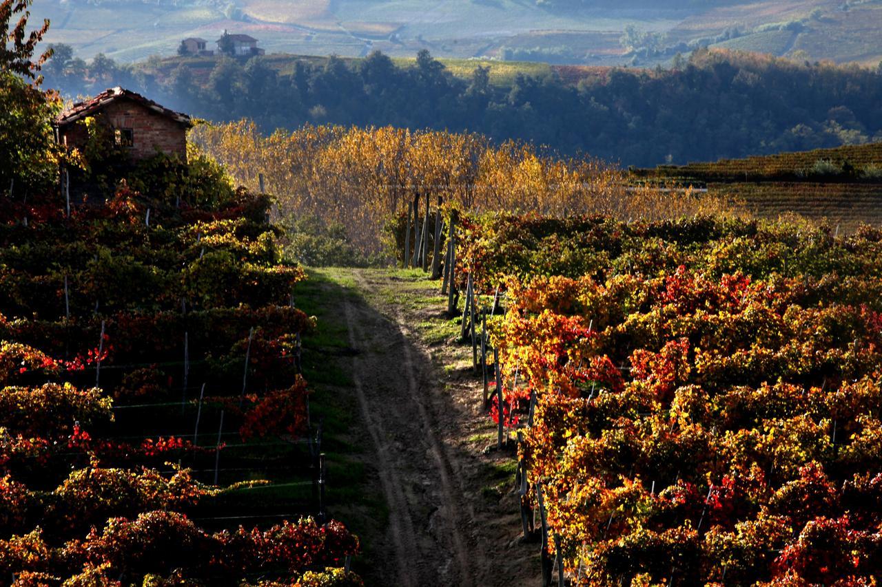 Albergo Castiglione Langhe Castiglione Tinella Екстер'єр фото